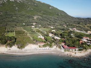 Táj Show holiday homes közelében