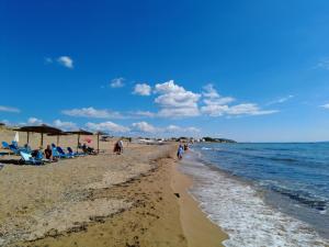 Táj Show holiday homes közelében