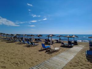 Táj Show holiday homes közelében