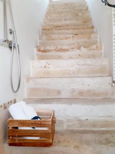 a set of stairs in a bathroom with a shower at Casa Borromeo in Villa Castelli