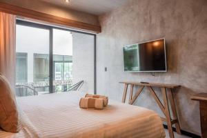 TV a/nebo společenská místnost v ubytování Estudio l Concierge privado, perfecta ubicación