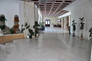 a hallway with potted plants in a building at Hotel Lido in Mamaia