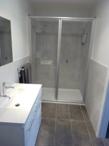 a bathroom with a shower and a white sink at The Pickled Frog in Hobart