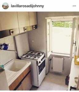 een kleine keuken met een fornuis en een wastafel bij La Villa Rosa di Johnny in Ronciglione