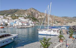 two boats are docked in a harbor with buildings at 1 Bedroom Lovely Home In Barano Dischia in Ischia
