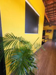 a yellow wall with a plant in a room at pousada Amarante praia 1 in São Miguel do Gostoso