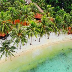 卡里孟加瓦的住宿－Eco Casa，棕榈树海滩的空中景致