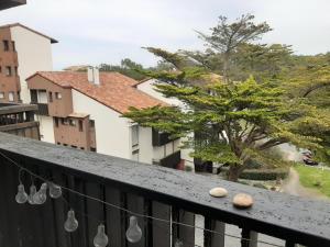 Fotografia z galérie ubytovania Appartement Seignosse, 2 pièces, 4 personnes - FR-1-239-935 v destinácii Seignosse
