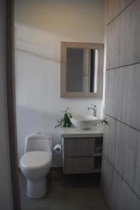 een badkamer met een toilet en een wastafel bij Studio Suite Campestre con Jacuzzi in Buga