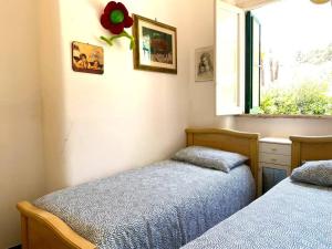トッレ・カンネにあるVilla Flower Holiday Torre Canne - 5min dalla spiaggiaのツインベッド2台と窓のある寝室