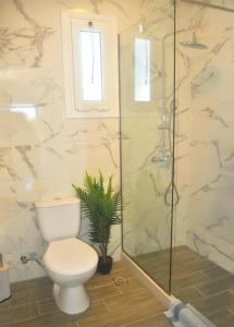 a bathroom with a toilet and a glass shower at Beachfront holiday house Eftichia in Agios Gordios