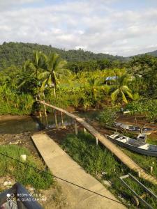 eine Brücke über einen Fluss mit Palmen und Booten in der Unterkunft Apartamentos Olaya! in Bahía Solano