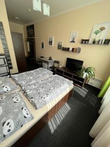 1 Schlafzimmer mit 2 Betten und Panda-Kissen in der Unterkunft Apartmány U Řeky Sázava in Sázava