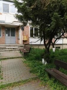 dois bancos em frente a um edifício com uma árvore em Apartament ASR em Piatra Neamţ