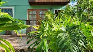 a house with a bunch of plants in front of it at Cabañas Manuto in Hanga Roa