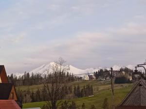 ブコビナ・タトシャンスカにあるPokoje Gościnne U Babuniの雪山の風景