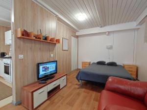 イマトラにあるART Hotel JUNAのベッドとテレビのあるリビングルーム