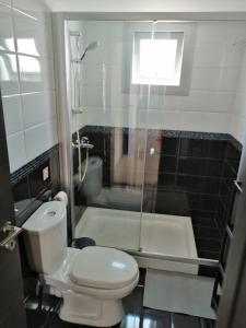 un piccolo bagno con servizi igienici e doccia di Peter Apartment a Ayia Napa