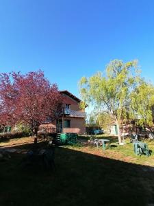 Zahrada ubytování ALBERGUE peregrinos CASAFLOR
