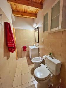 a bathroom with a toilet and a sink at Dpto Ayacucho in Mendoza