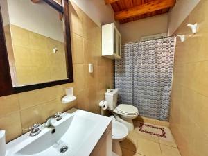 een badkamer met een wastafel, een toilet en een douche bij Dpto Ayacucho in Mendoza