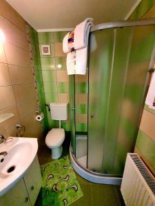 a bathroom with a shower and a toilet and a sink at Casa Ramino in Buşteni