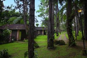 a house in the middle of a forest of trees at Eden Nature Park and Resort in Davao City