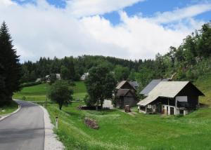 a house on a hill next to a road at Tourist Farm Pr' Maretč in Bohinjska Bistrica