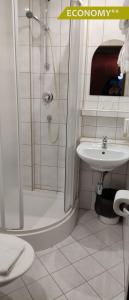 a bathroom with a shower and a sink at Hotel Ludmila in Mělník