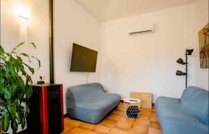 sala de estar con 2 sillas azules y TV en Can Maximino, en Ollers