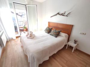 比拉加爾西亞德亞羅薩的住宿－Apartamento Carril - Camiño do Carro，一间卧室设有一张大床和一个大窗户