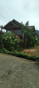 una casa con árboles y plantas frente a una carretera en Purabarang Homestay en Rantepao