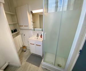 ein kleines Bad mit einer Dusche und einem Waschbecken in der Unterkunft La Vague Dorée - Hyper-Centre - 15 min de Rouen in Barentin