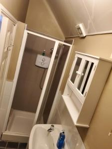 La salle de bains est pourvue d'un lavabo, d'une douche et d'un miroir. dans l'établissement Apt. 2 - Town Centre Apartment, à Bagenalstown