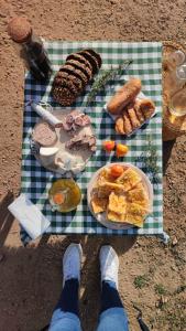 a person sitting on a picnic blanket with a plate of food at Can Barraca in Avinyonet de Puigventós