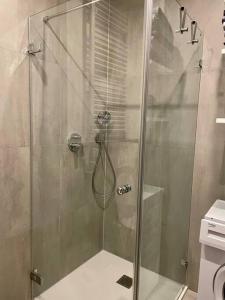 eine Dusche mit Glastür im Bad in der Unterkunft NEU Suite Perlago, Whirlpool & Seeblick in Tignale