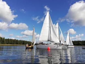 a group of sailboats on a body of water at Dreamland skorupki in Ryn +8 photos