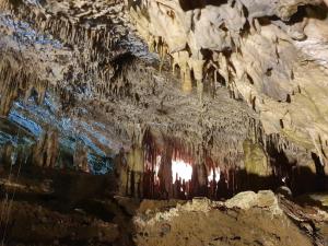 Phong cảnh thiên nhiên gần căn hộ