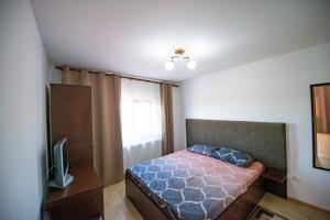 Postel nebo postele na pokoji v ubytování Casa Dumitrescu