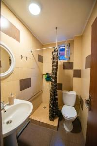 Koupelna v ubytování Casa Dumitrescu