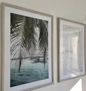 two framed photographs of a palm tree on a wall at Sea La Vie in Pag