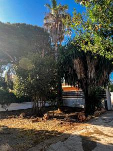 uma casa com palmeiras e uma cerca em Sacasablava em Cala Bona