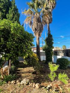 un jardín con árboles y palmeras en Sacasablava, en Cala Bona