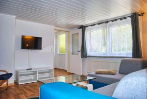 TV a/nebo společenská místnost v ubytování Ferienhus Baabe bei Familie Vergien