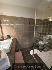 W łazience znajduje się prysznic i umywalka. w obiekcie LE PRESBYTÈRE DE LA CITE ROYALE DE LOCHES w mieście Loches
