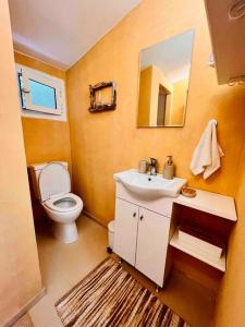 a bathroom with a toilet and a sink and a mirror at Under the vine garden house in Platánion +21 photos