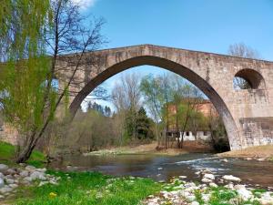 un vieux pont en pierre sur une rivière dans l'établissement CAN PLANAS Soleado, amplio con vistas y parking, à Sant Joan de les Abadesses