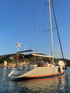 een zeilboot is aangemeerd in het water bij Velero Beneteau Gybsea 50 in Ibiza-stad