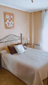 een slaapkamer met een groot bed met kussens erop bij Apartamento en el centro de asturias in Langreo