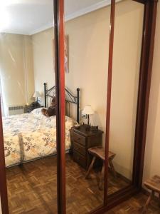 a bedroom with a bed and a mirror at Apartamento en el centro de asturias in Langreo